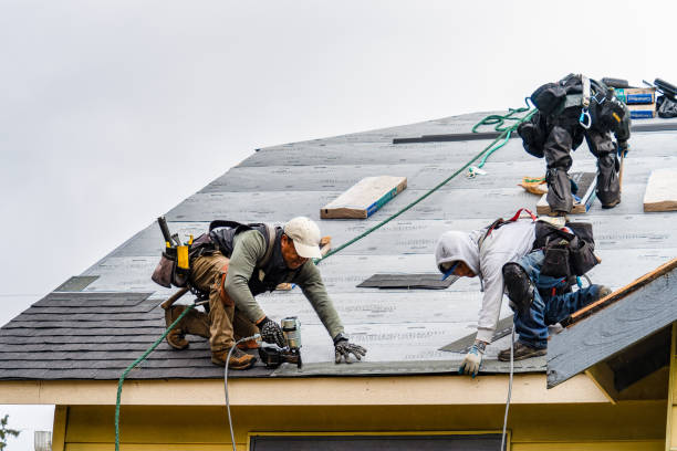 Professional Storm Damage Roof Repair technician working in San Jose, IL